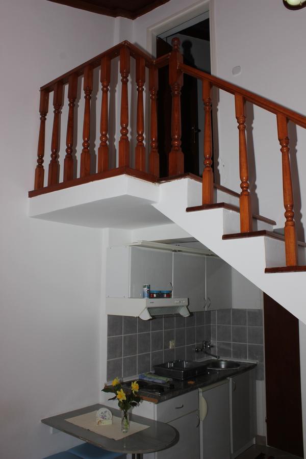 Apartment Dijana Petrovac Zewnętrze zdjęcie
